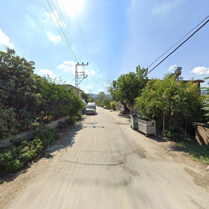 Fotoğraf 4