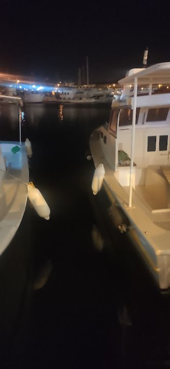 Fotoğraf 48