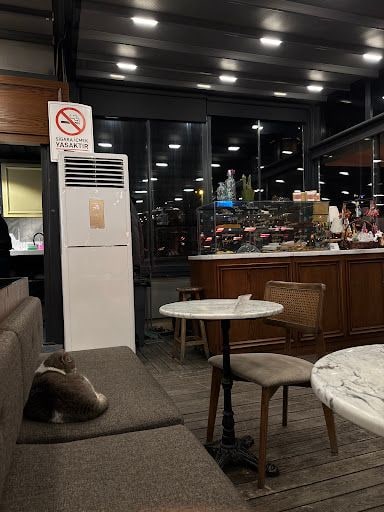 Yorum fotoğrafı 5