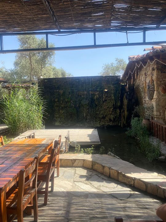 Yorum fotoğrafı 2