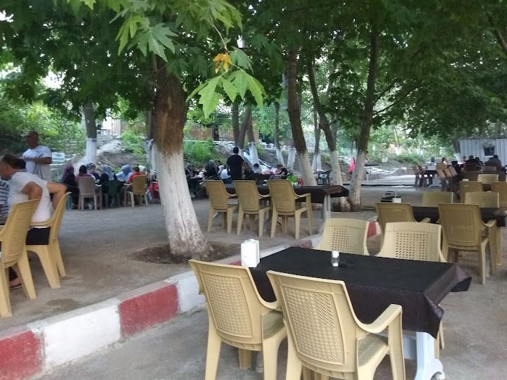 Fotoğraf 15