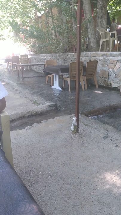 Fotoğraf 14