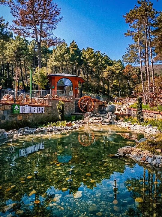 Fotoğraf 19