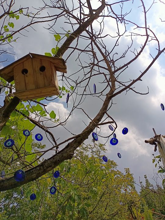 Yorum fotoğrafı 3