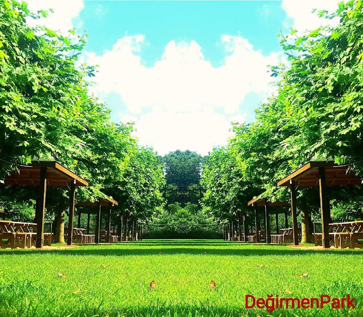 Fotoğraf 52