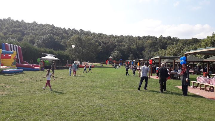 Fotoğraf 63