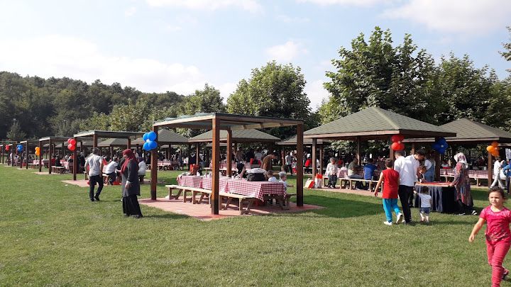 Fotoğraf 30
