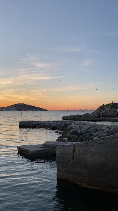 Fotoğraf 25