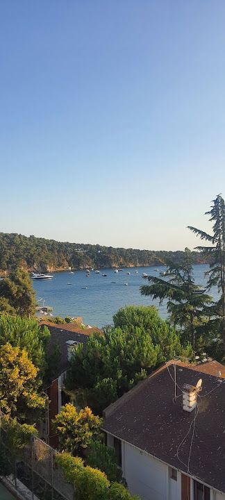Fotoğraf 14