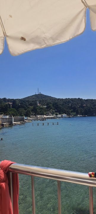 Fotoğraf 15