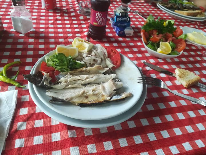 Fotoğraf 41