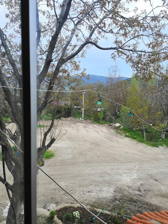 Fotoğraf 73