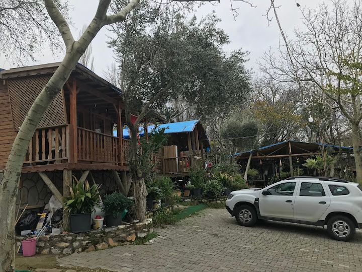 Fotoğraf 60
