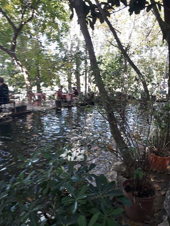 Fotoğraf 75