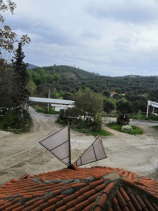 Fotoğraf 71