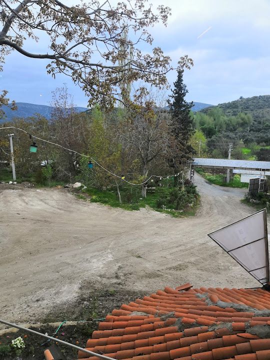 Fotoğraf 72