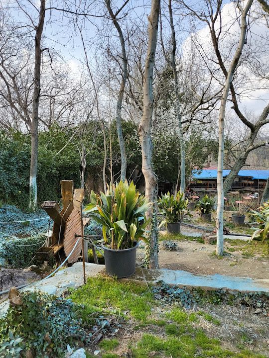 Fotoğraf 59