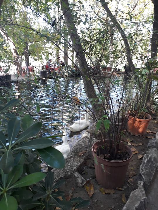 Fotoğraf 29