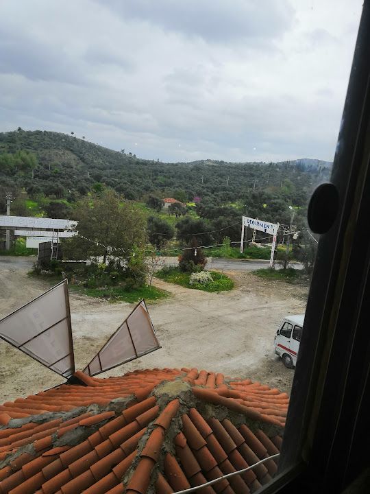 Fotoğraf 70