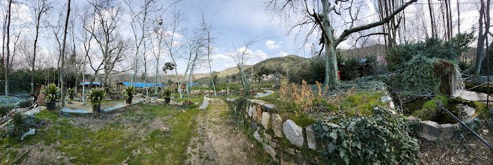 Fotoğraf 57