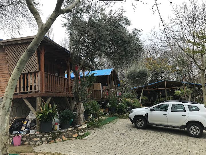 Fotoğraf 62