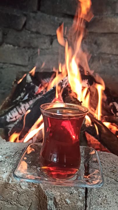 Fotoğraf 24