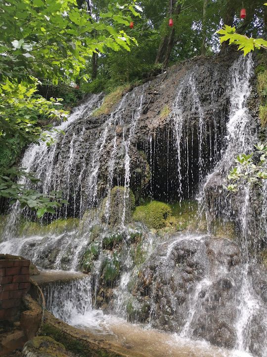Yorum fotoğrafı 4