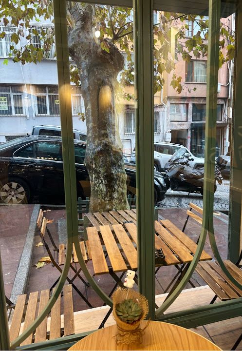 Fotoğraf 23