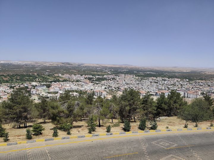 Yorum fotoğrafı 3