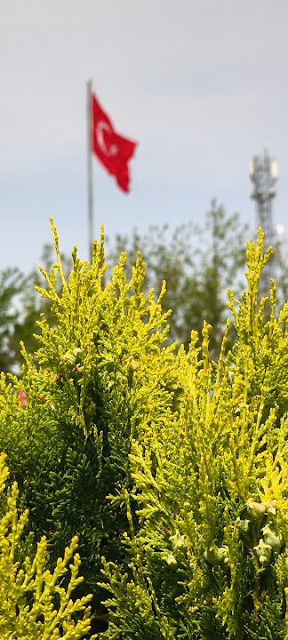 Yorum fotoğrafı 3