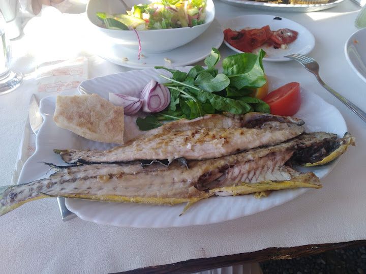 Fotoğraf 33