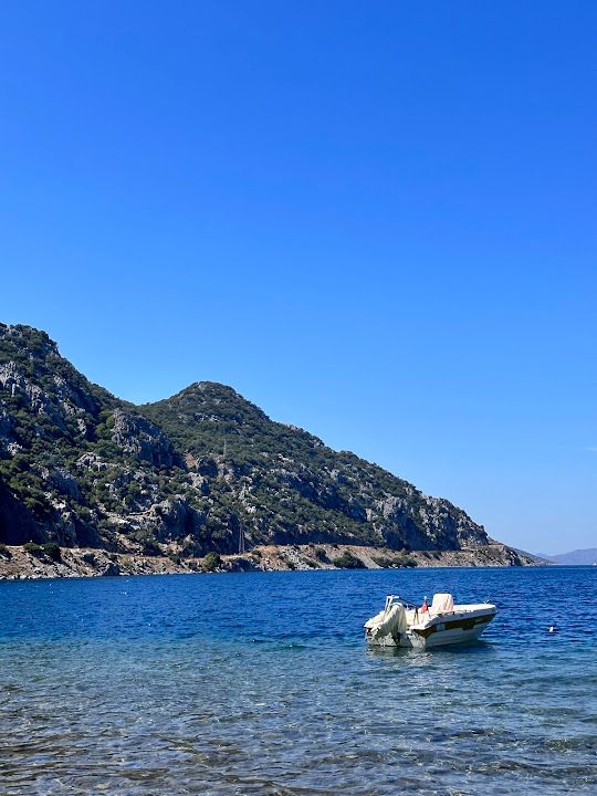 Fotoğraf 19