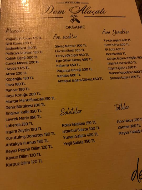 Fotoğraf 41