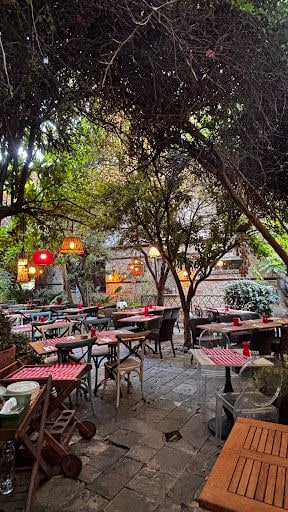 Yorum fotoğrafı 5
