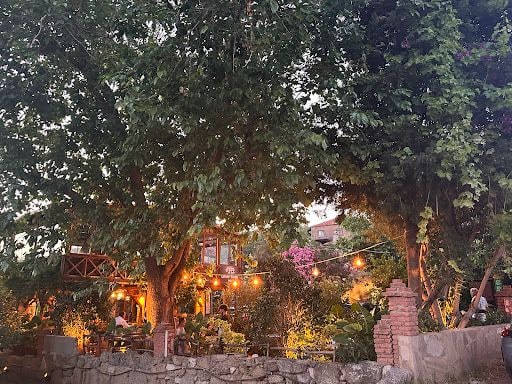 Fotoğraf 13