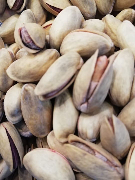 Fotoğraf 12