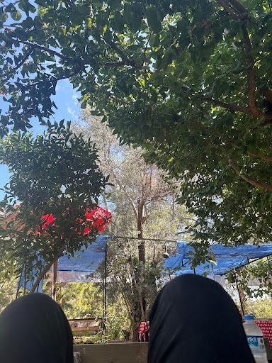 Yorum fotoğrafı 3