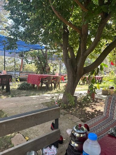 Yorum fotoğrafı 4
