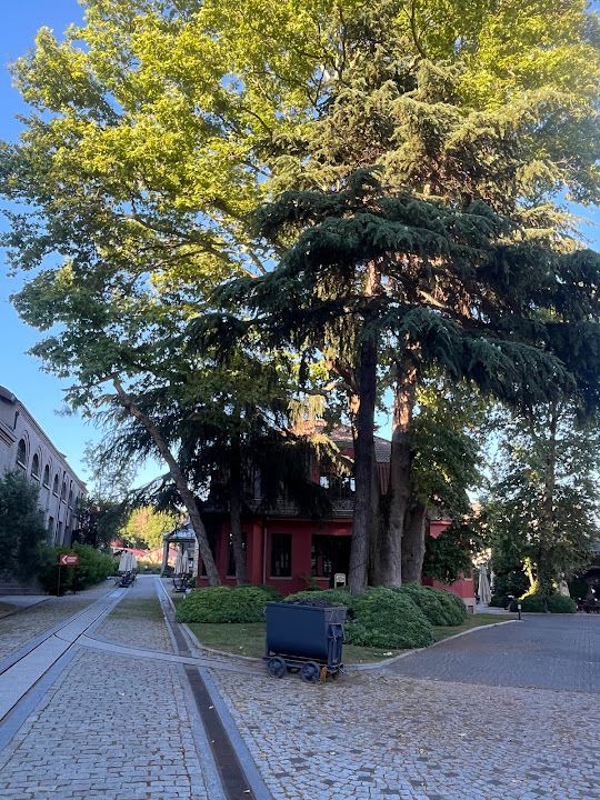 Yorum fotoğrafı 2