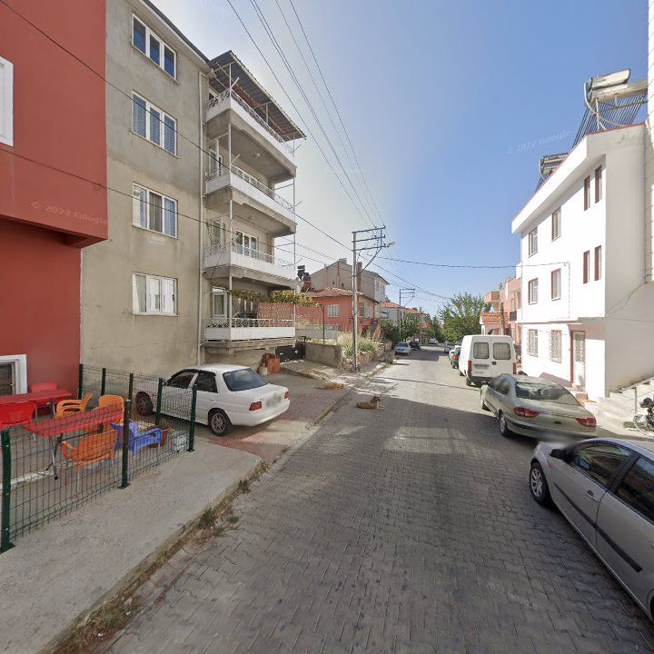 Fotoğraf 9