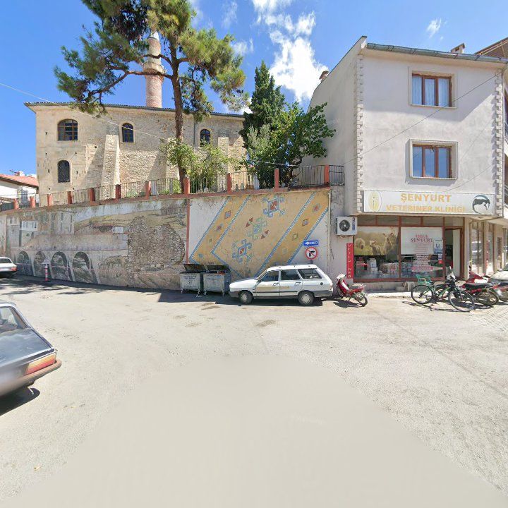 Fotoğraf 7