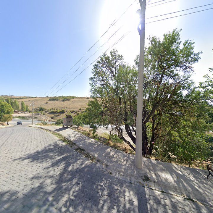 Fotoğraf 7