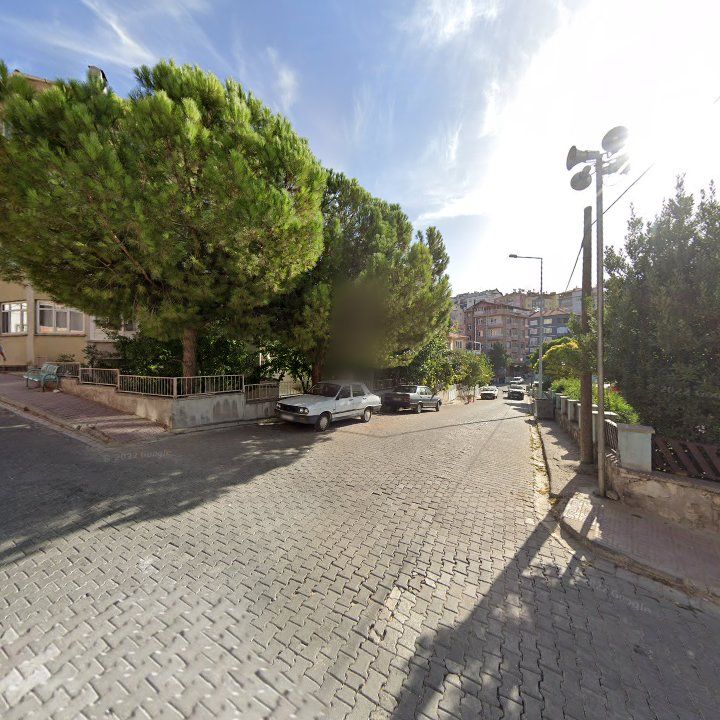 Fotoğraf 10