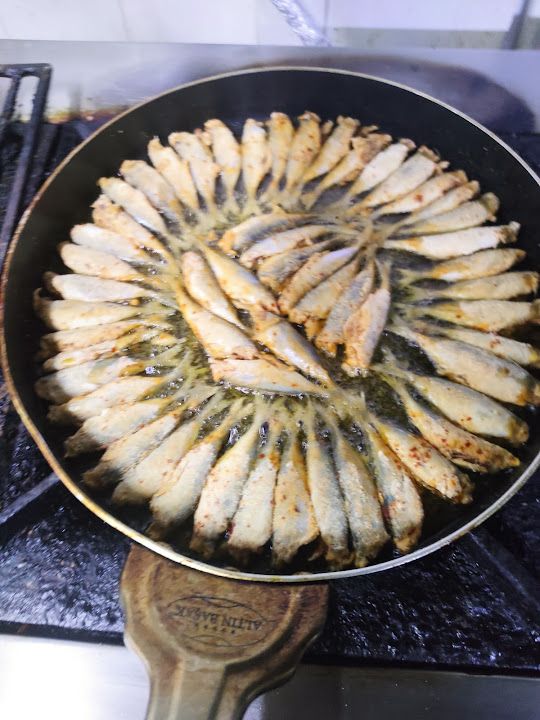 Fotoğraf 11