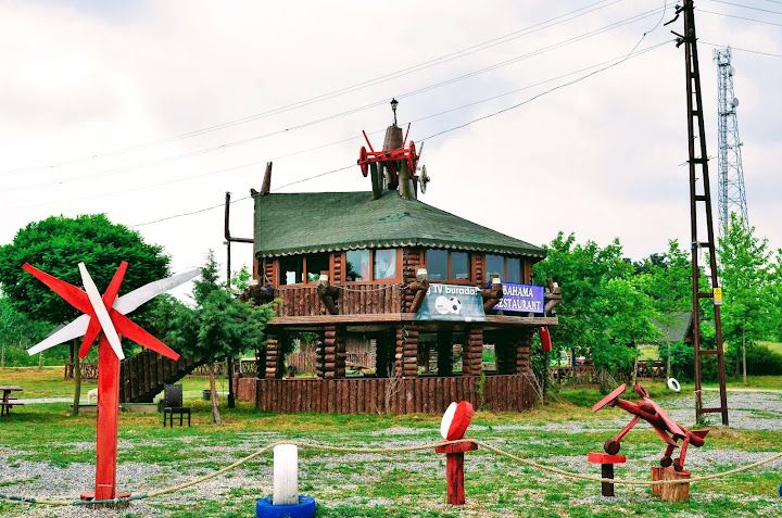 Bahama Canlı Alabalık