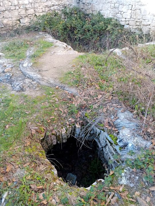 Yorum fotoğrafı 19
