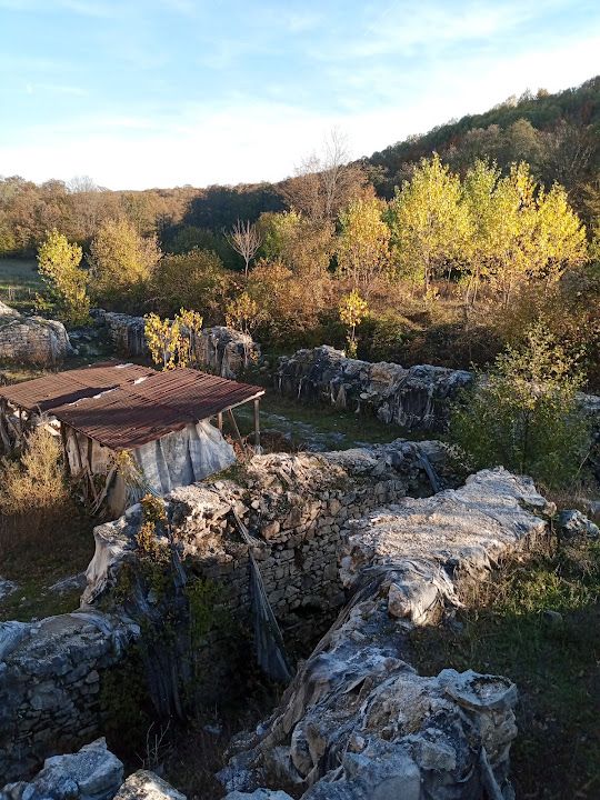 Yorum fotoğrafı 31