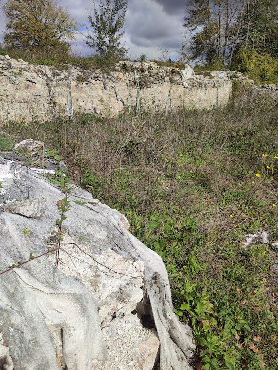 Yorum fotoğrafı 19