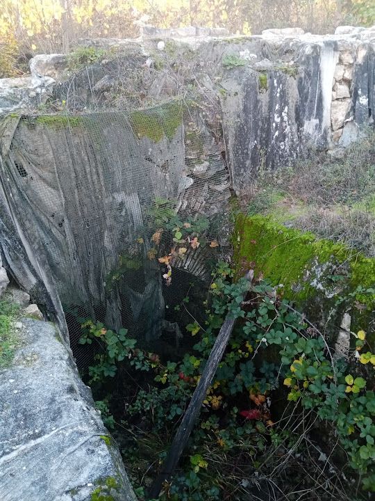 Yorum fotoğrafı 16