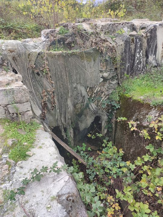 Yorum fotoğrafı 17